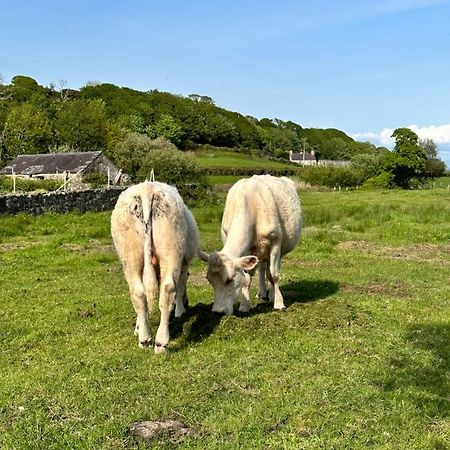 Static Caravan Pwllheli Ngoại thất bức ảnh
